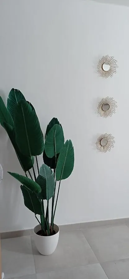 Apartamento Casco Historico Con Atico. Apartment Seville