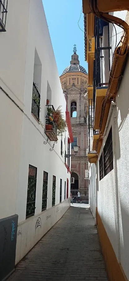 Apartamento Casco Historico Con Atico. Apartment Seville