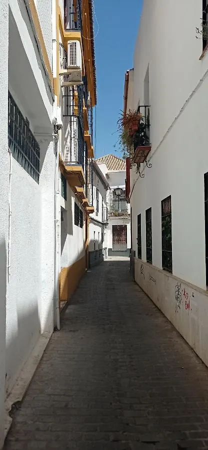 Apartamento Casco Historico Con Atico. Apartment Seville 0*,