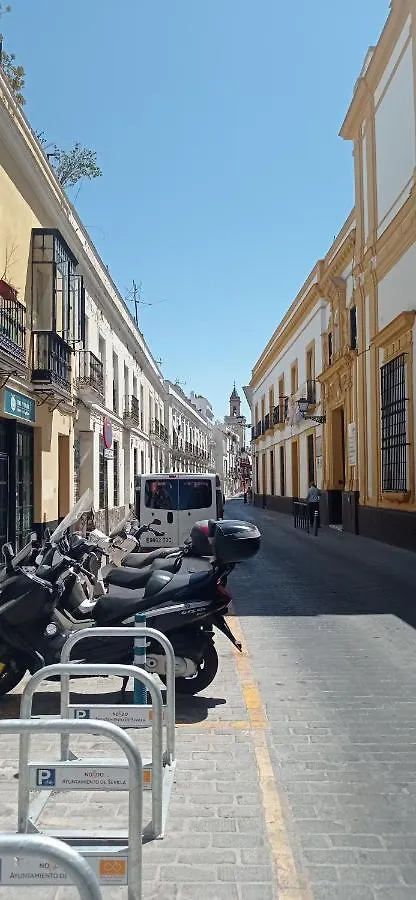 Apartamento Casco Historico Con Atico. Apartment Seville